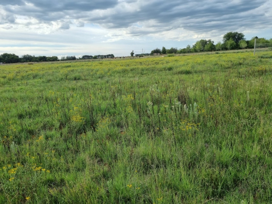 Commercial Property for Sale in Bloemdal Free State